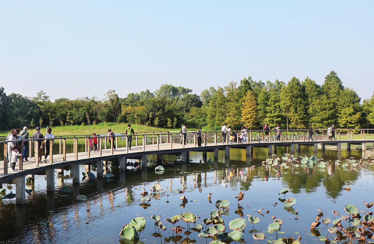 香港濕地公園